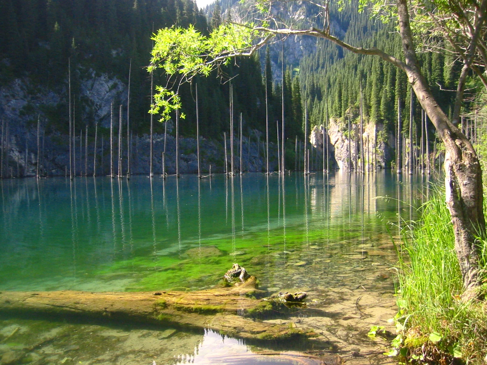 Kolsai and Kaindy lake tours
